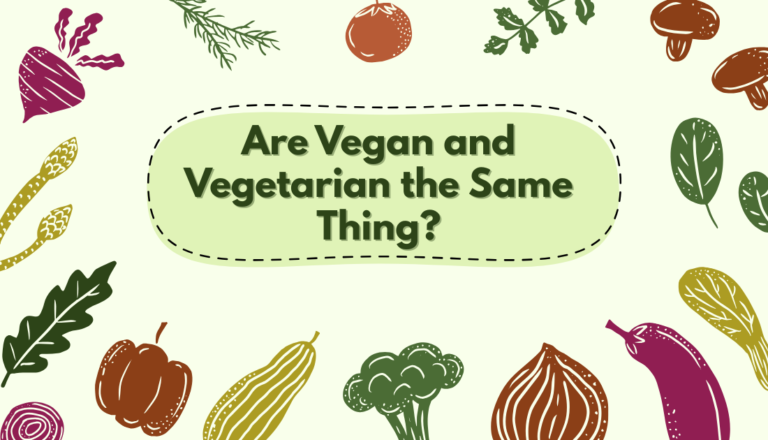 Vegan and Vegetarian Diet